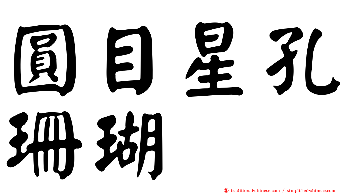 圓目星孔珊瑚