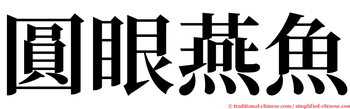 圓眼燕魚 serif font