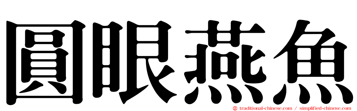 圓眼燕魚