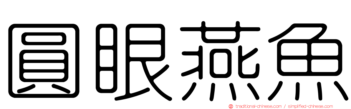 圓眼燕魚