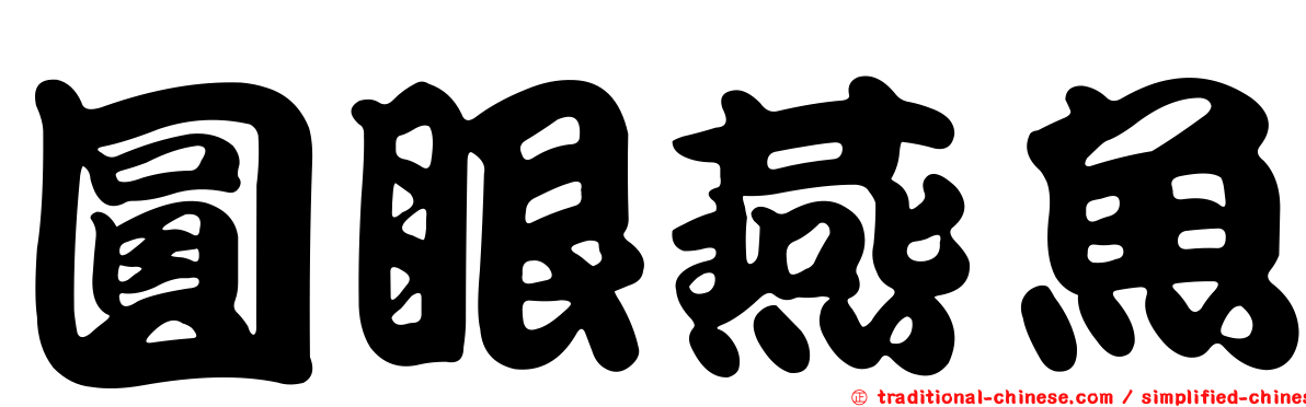圓眼燕魚