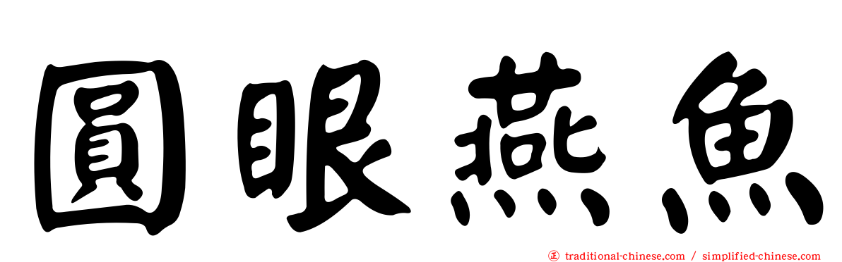 圓眼燕魚