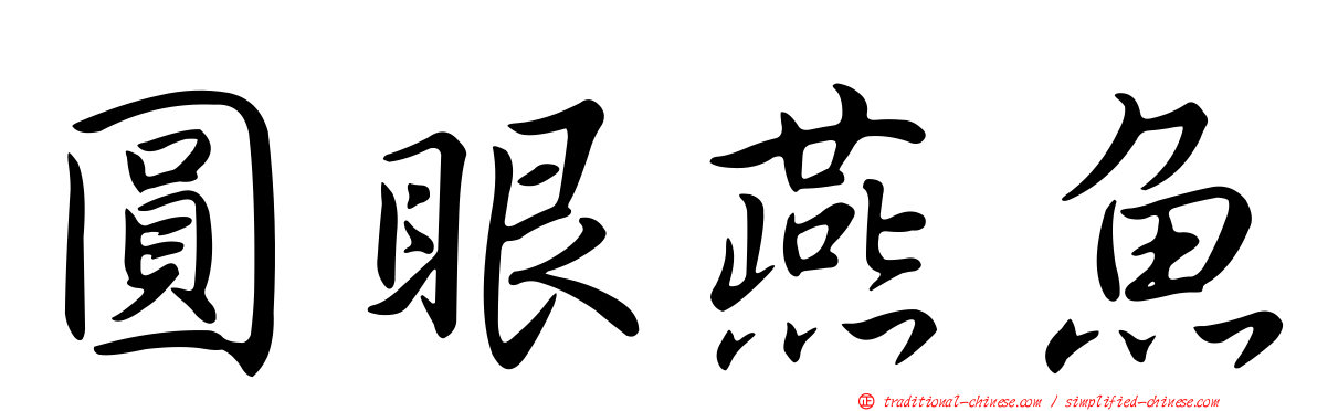圓眼燕魚