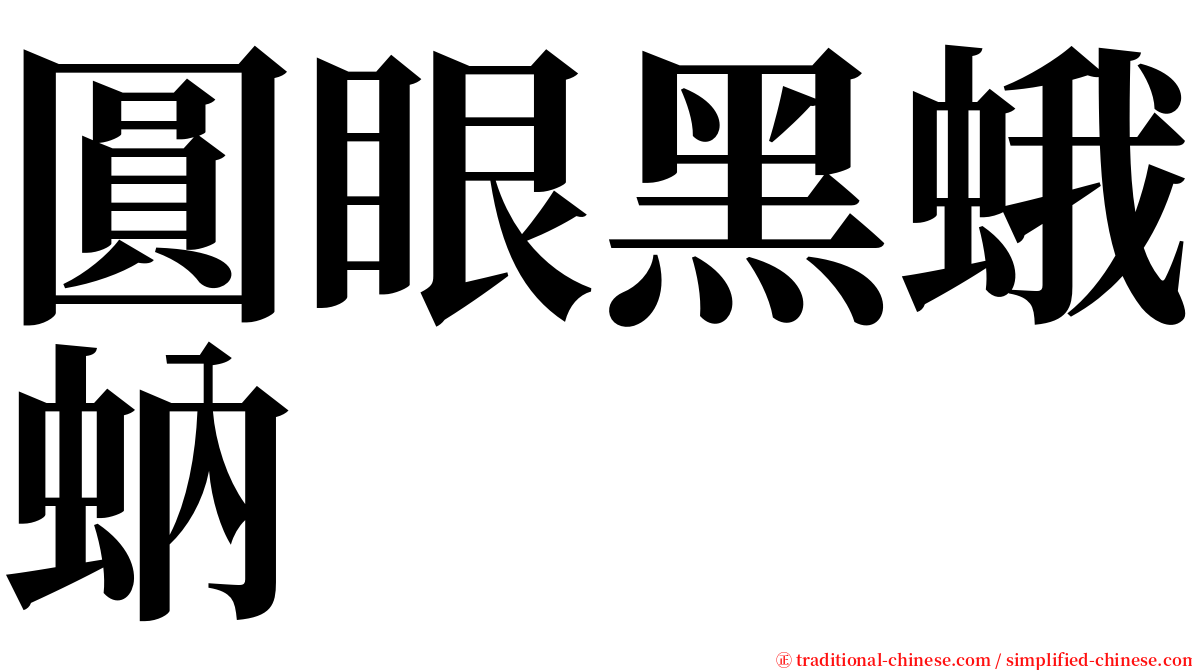 圓眼黑蛾蚋 serif font