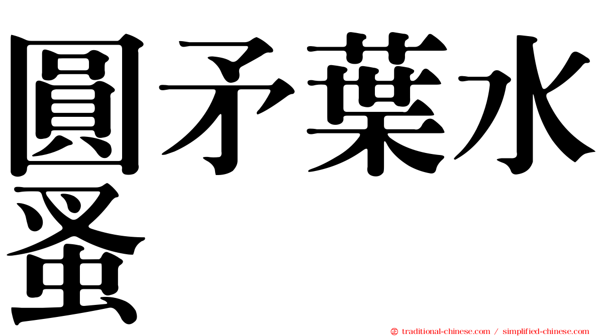 圓矛葉水蚤