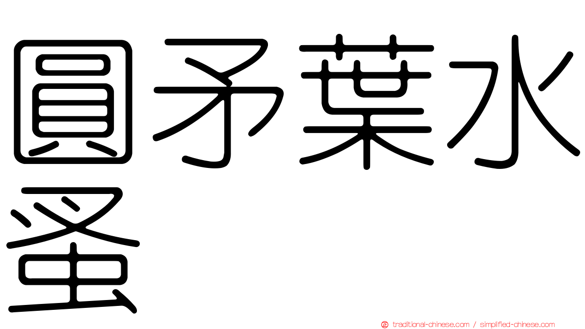 圓矛葉水蚤