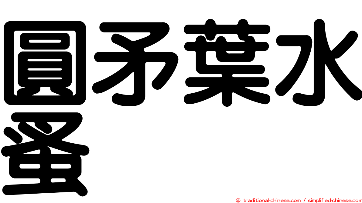 圓矛葉水蚤
