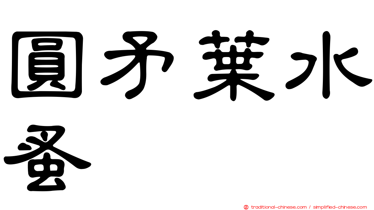 圓矛葉水蚤