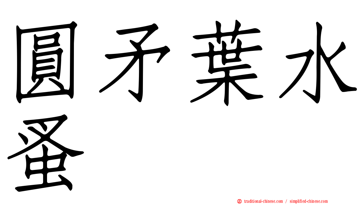 圓矛葉水蚤