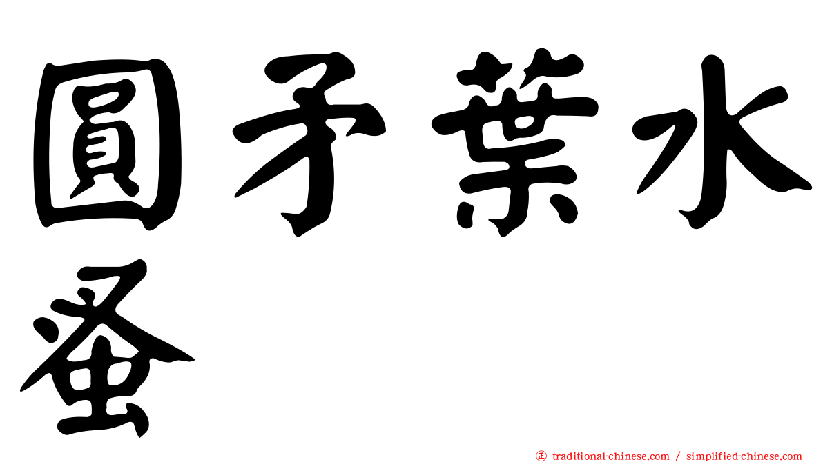 圓矛葉水蚤