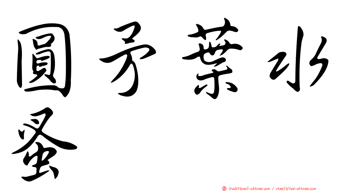 圓矛葉水蚤