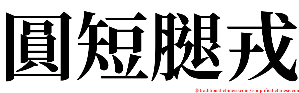 圓短腿戎 serif font