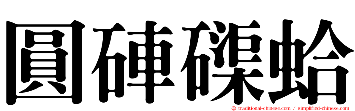 圓硨磲蛤