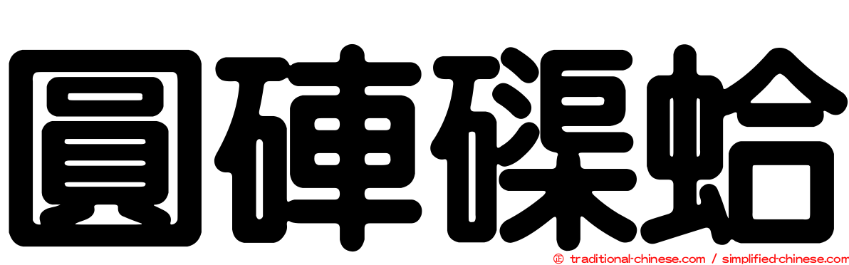 圓硨磲蛤