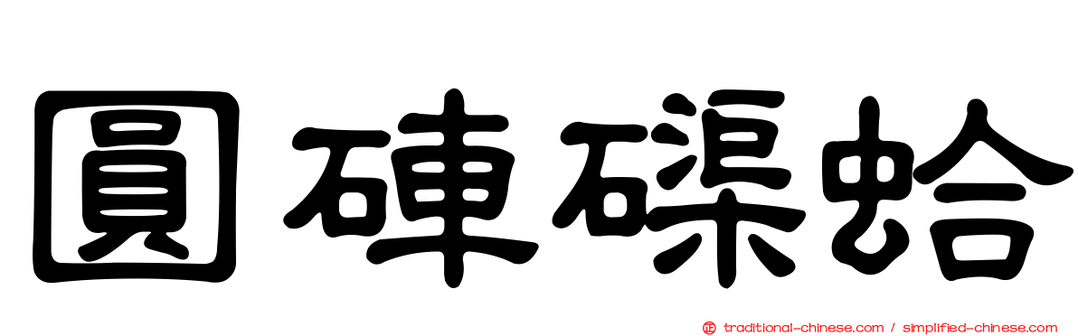 圓硨磲蛤