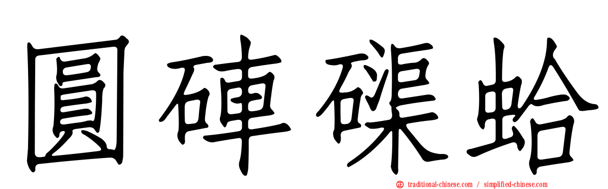圓硨磲蛤