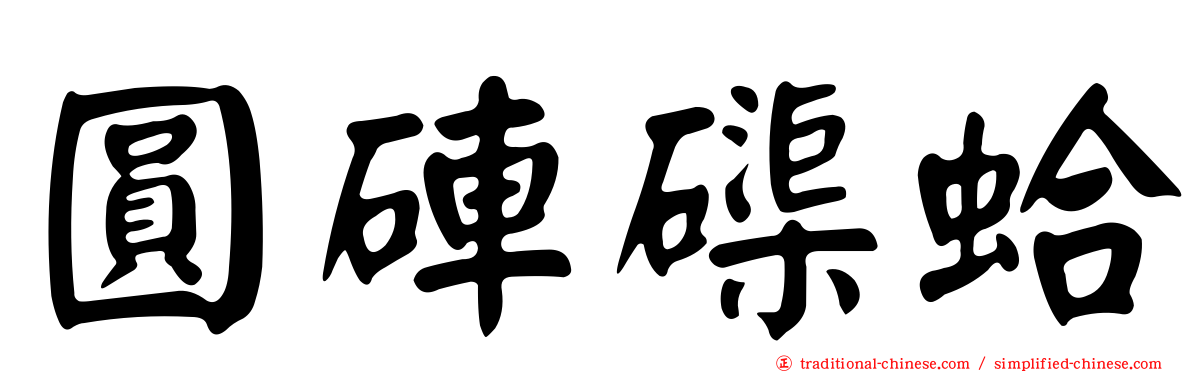 圓硨磲蛤