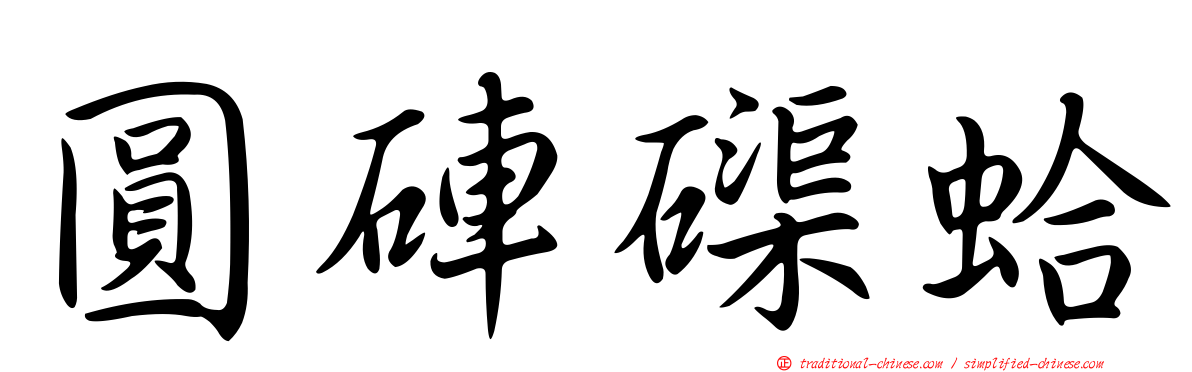 圓硨磲蛤