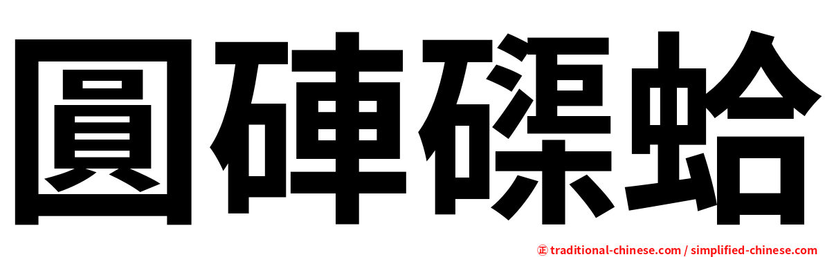 圓硨磲蛤