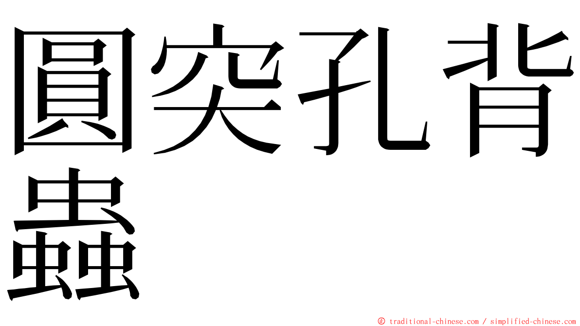 圓突孔背蟲 ming font