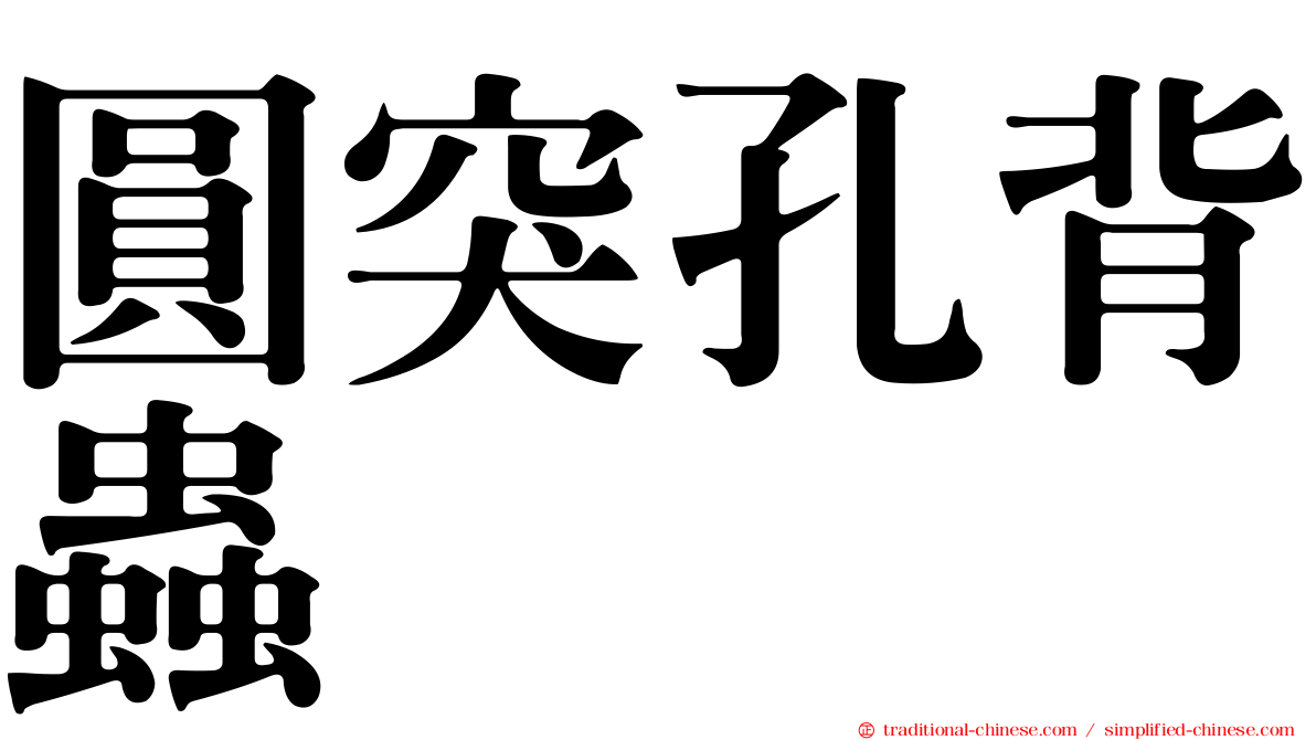 圓突孔背蟲