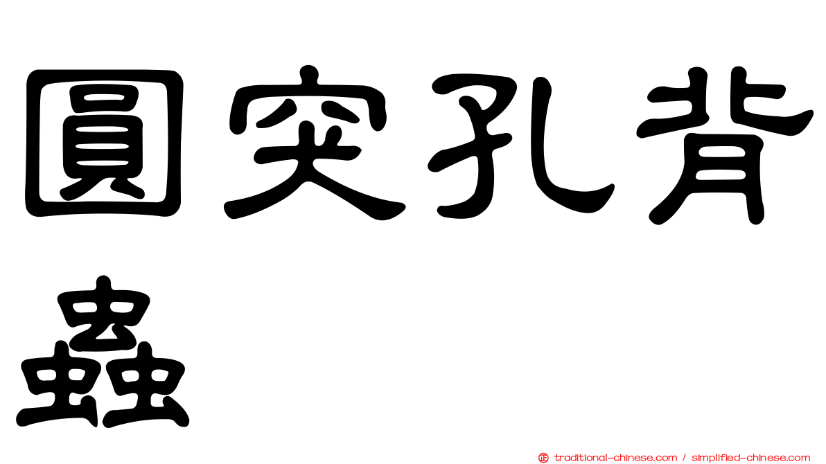 圓突孔背蟲