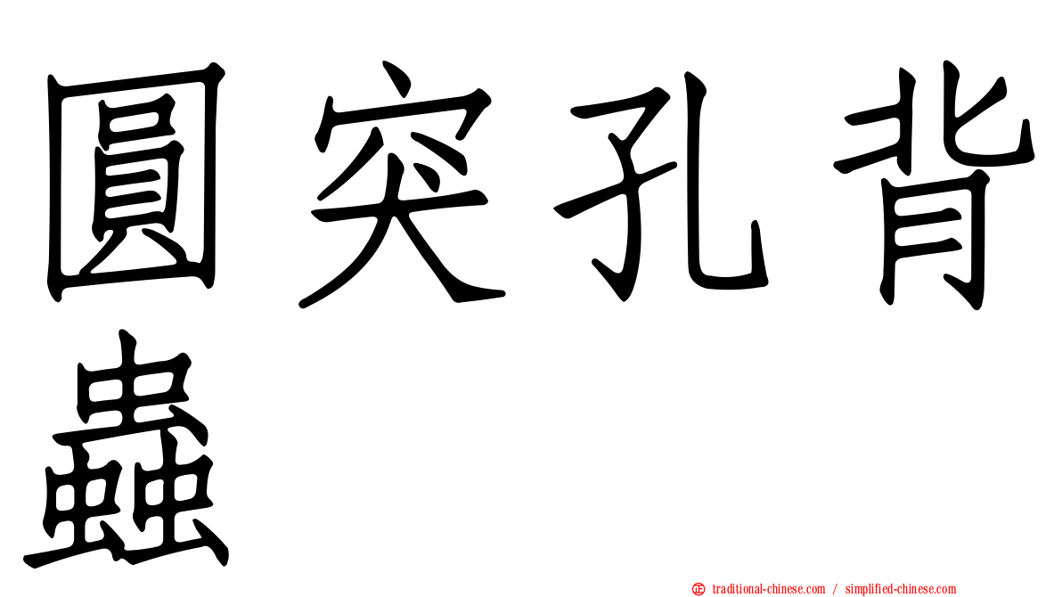 圓突孔背蟲