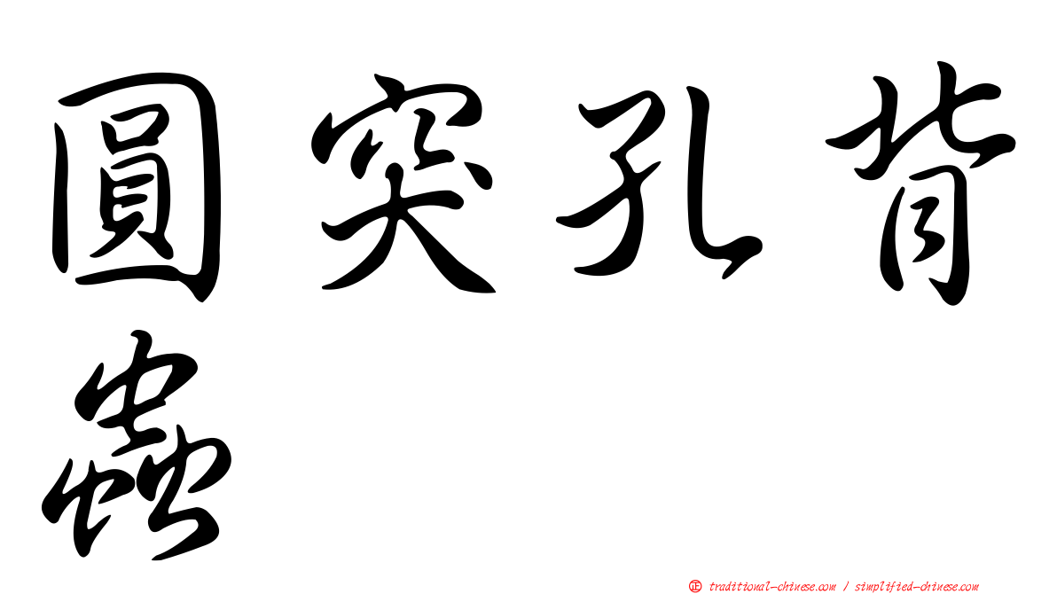 圓突孔背蟲