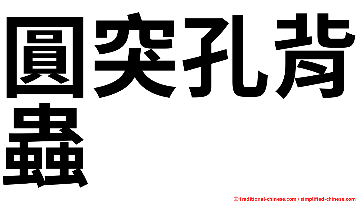圓突孔背蟲