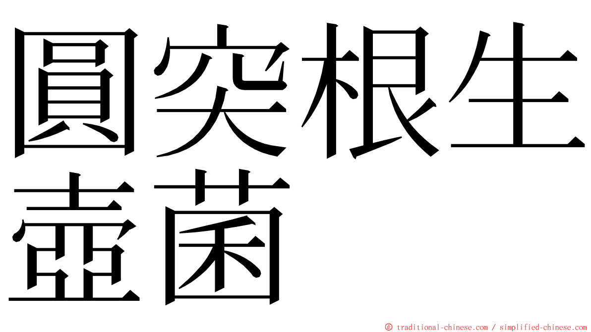 圓突根生壺菌 ming font