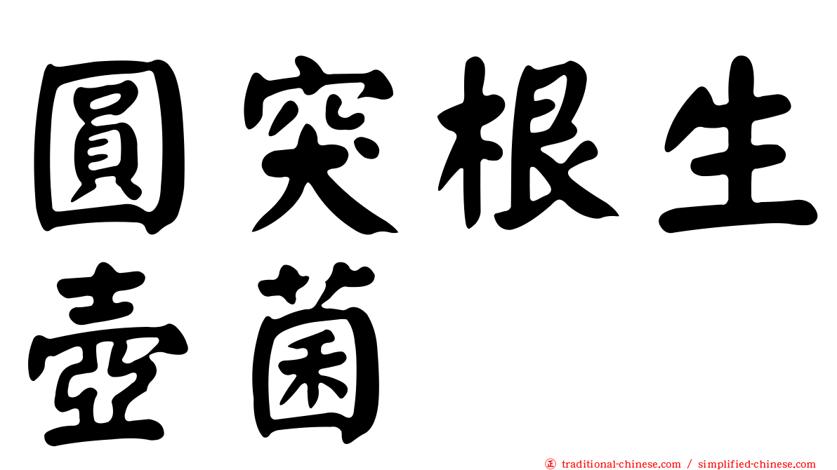 圓突根生壺菌