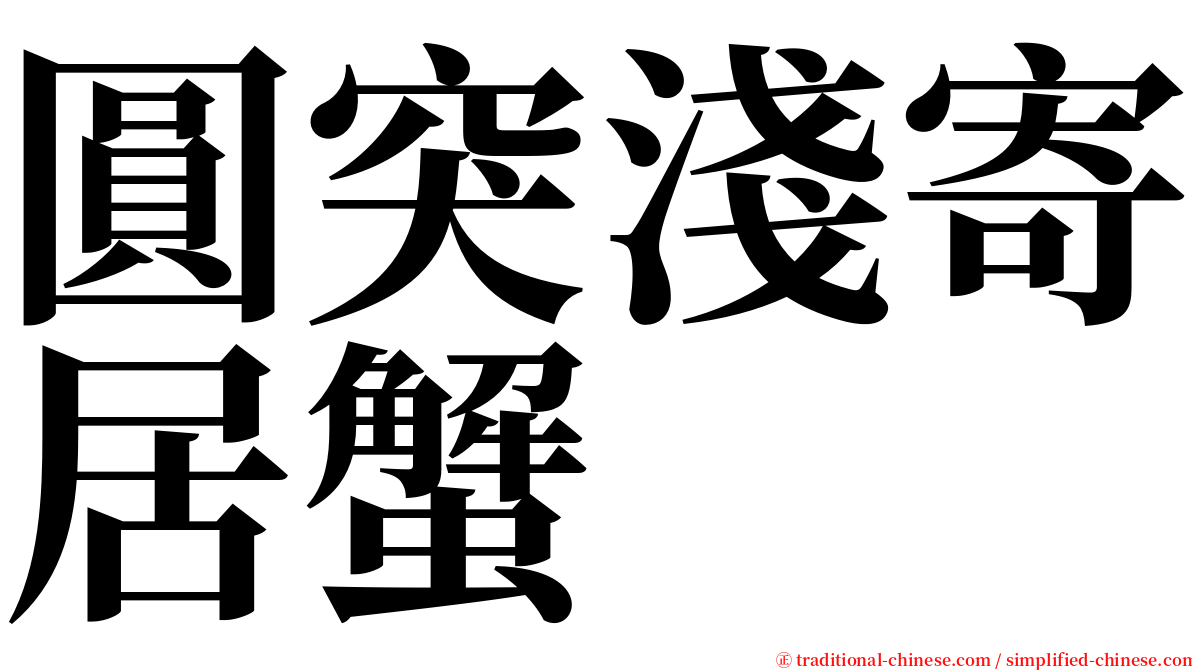 圓突淺寄居蟹 serif font