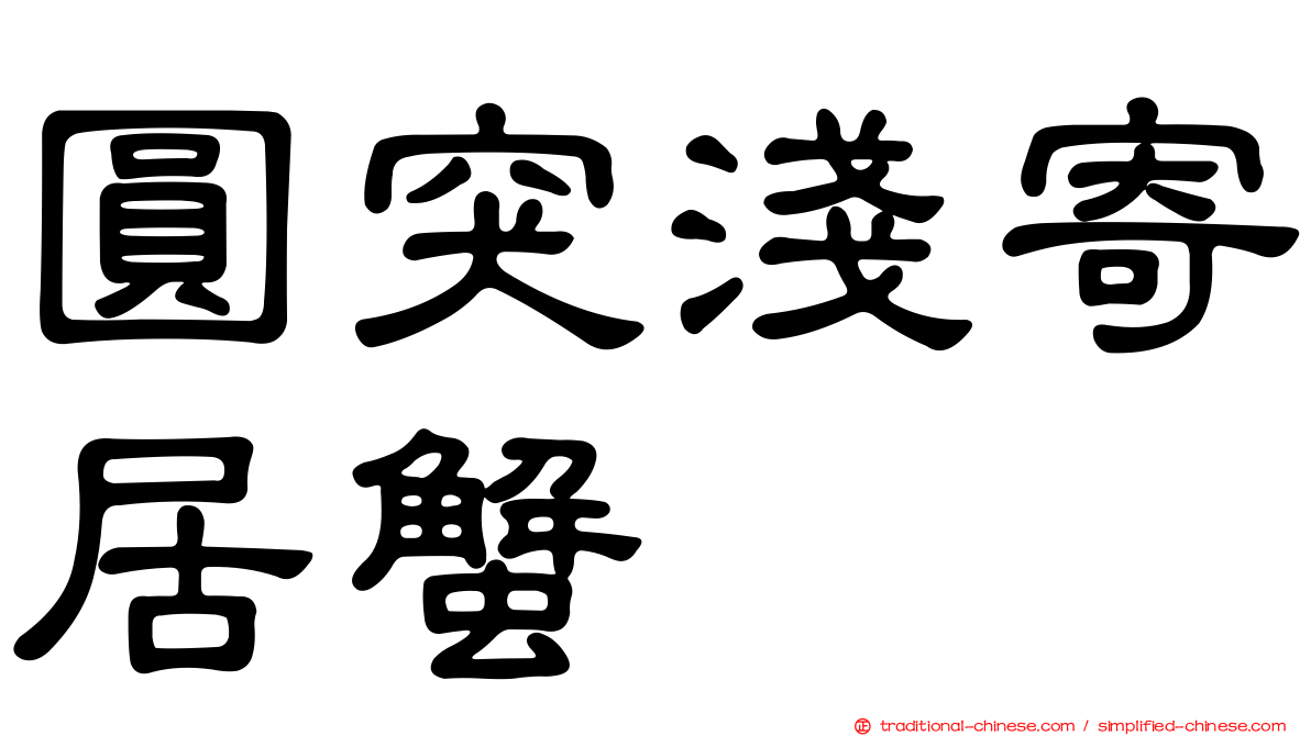 圓突淺寄居蟹