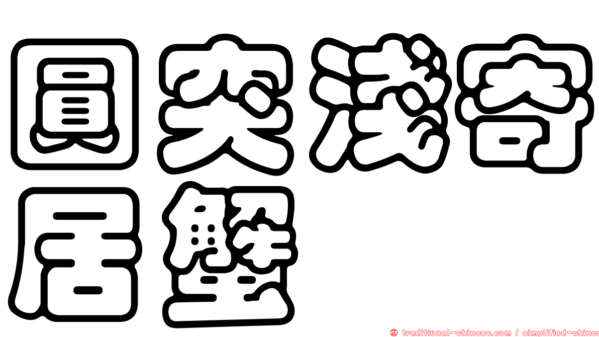 圓突淺寄居蟹