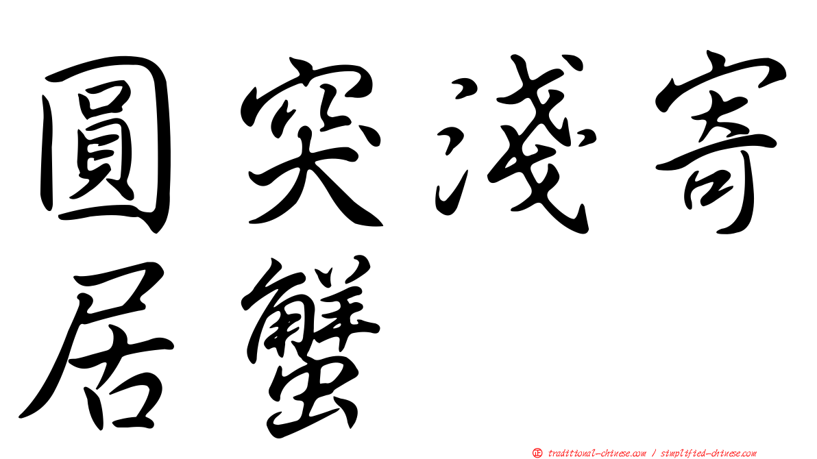 圓突淺寄居蟹