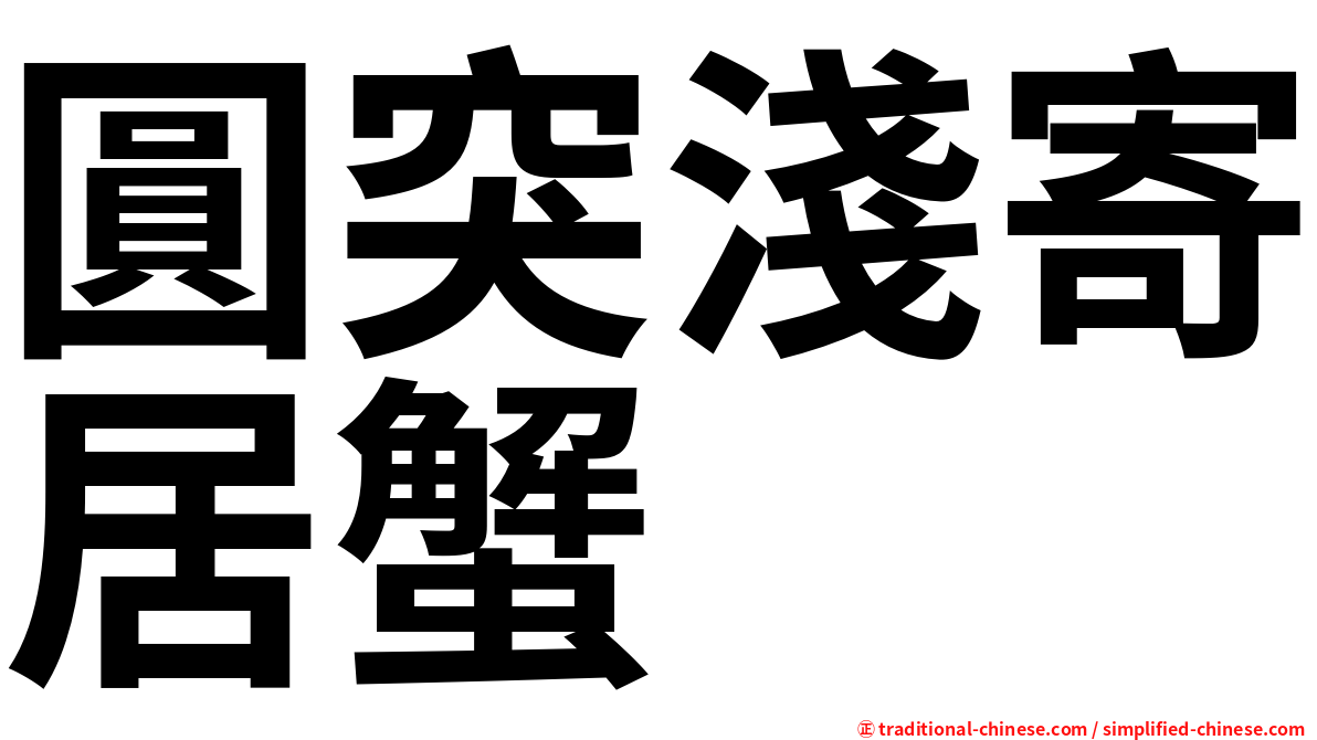 圓突淺寄居蟹