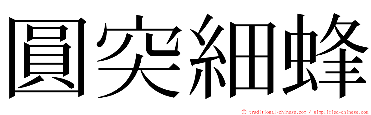 圓突細蜂 ming font