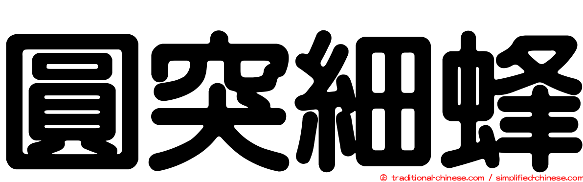 圓突細蜂