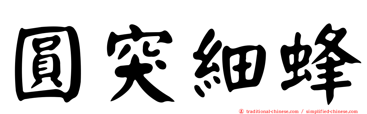 圓突細蜂