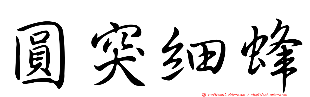圓突細蜂