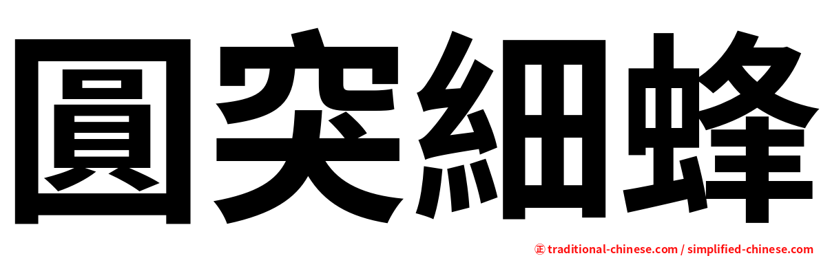 圓突細蜂