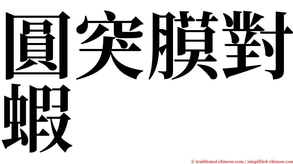 圓突膜對蝦 serif font