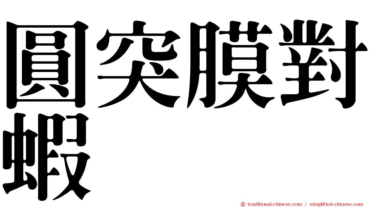 圓突膜對蝦