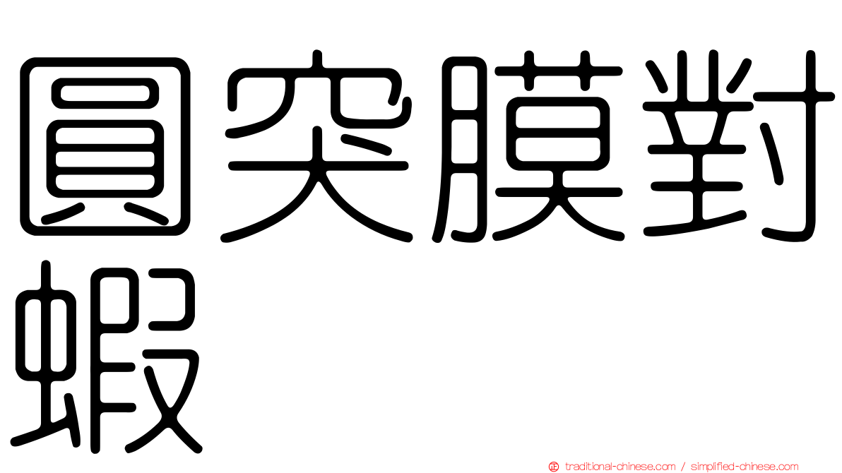 圓突膜對蝦