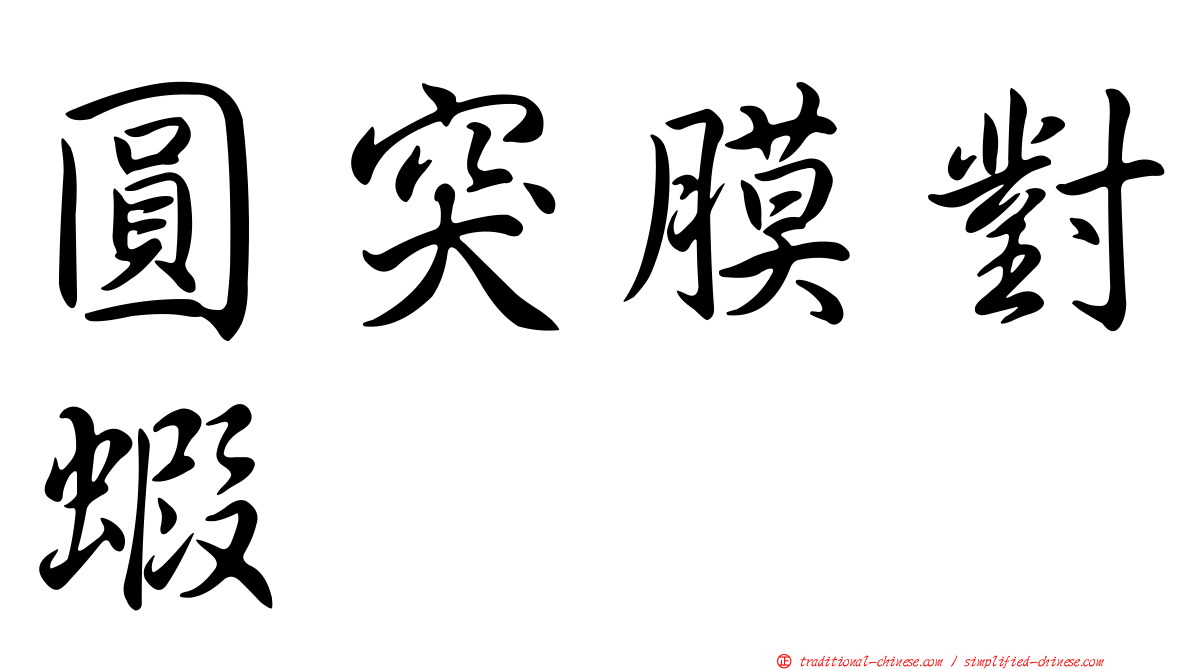 圓突膜對蝦