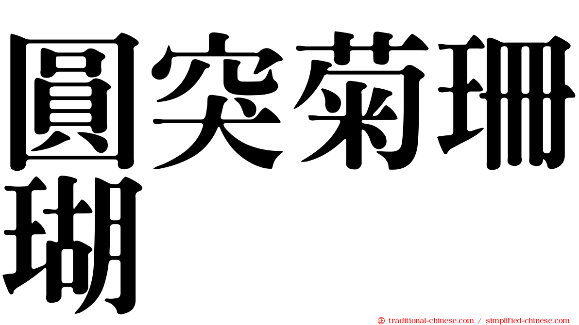 圓突菊珊瑚