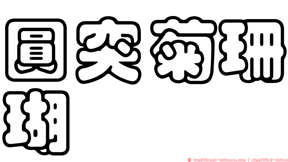 圓突菊珊瑚