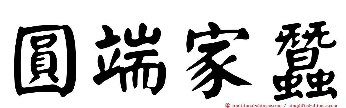 圓端家蠶