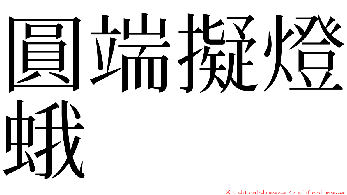 圓端擬燈蛾 ming font
