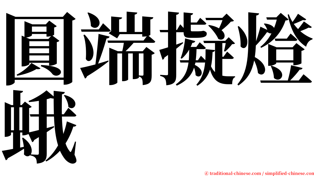 圓端擬燈蛾 serif font